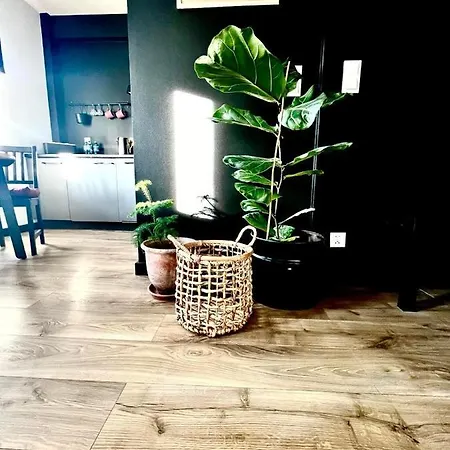 Apartament Gryf シュチェチン
